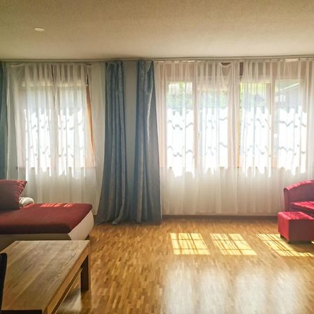 Sofia Apartment - Aare Jungfrau Ag ヴィルダースヴィル エクステリア 写真