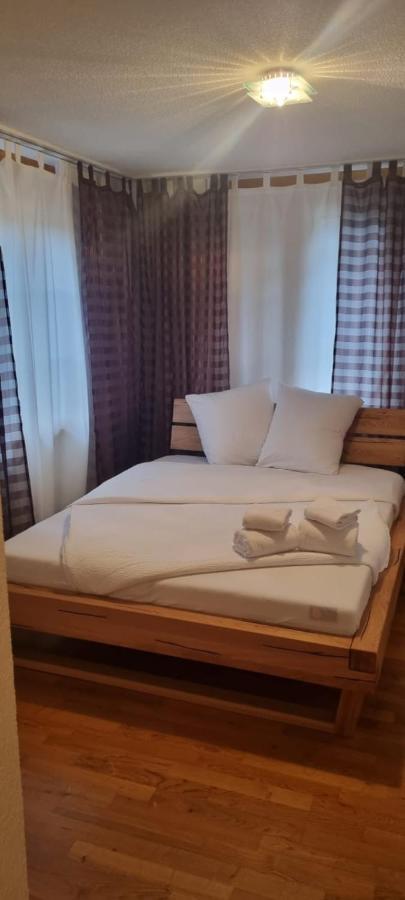 Sofia Apartment - Aare Jungfrau Ag ヴィルダースヴィル エクステリア 写真