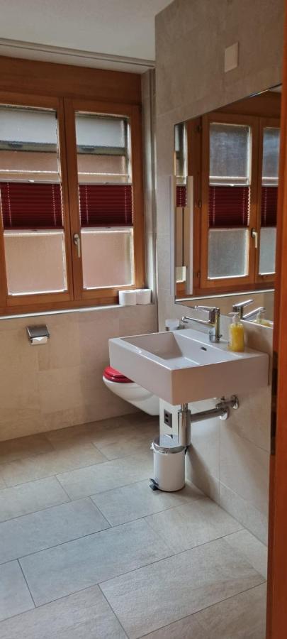 Sofia Apartment - Aare Jungfrau Ag ヴィルダースヴィル エクステリア 写真